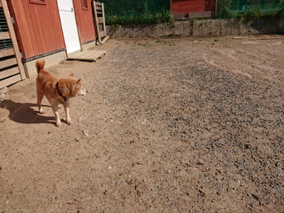 f:id:roukenhome-ann:20190524093747j:plain