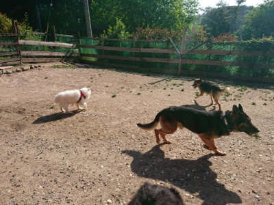 f:id:roukenhome-ann:20190524093758j:plain