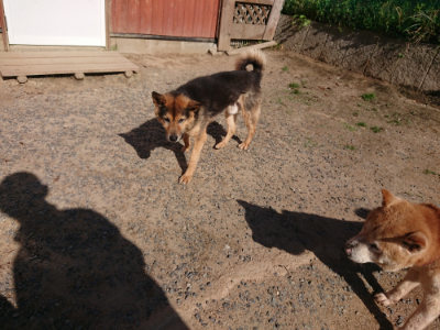 f:id:roukenhome-ann:20190524093809j:plain