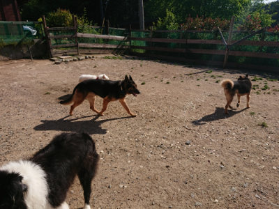 f:id:roukenhome-ann:20190524093842j:plain
