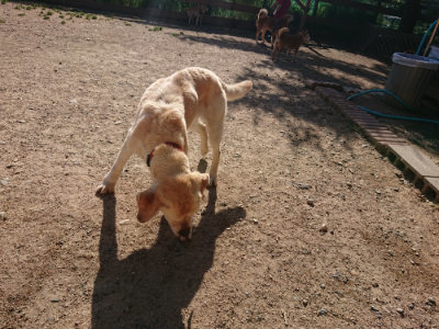 f:id:roukenhome-ann:20190524093849j:plain