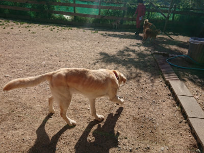 f:id:roukenhome-ann:20190524093913j:plain