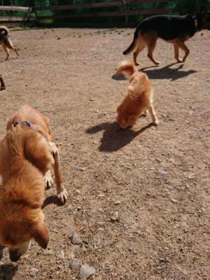 f:id:roukenhome-ann:20190524093929j:plain