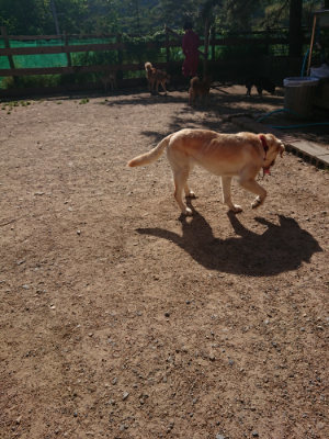 f:id:roukenhome-ann:20190524093935j:plain