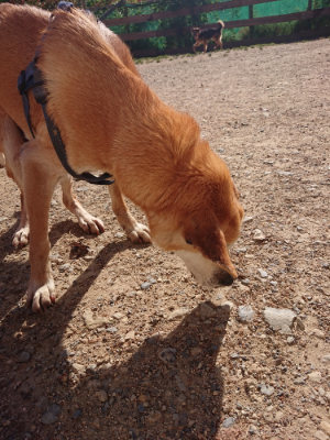 f:id:roukenhome-ann:20190524093948j:plain