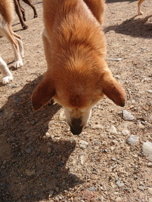 f:id:roukenhome-ann:20190524093953j:plain