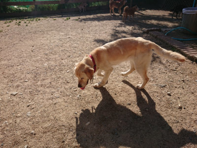 f:id:roukenhome-ann:20190524094000j:plain