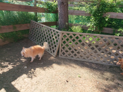 f:id:roukenhome-ann:20190524120059j:plain