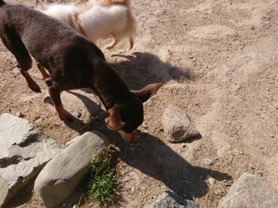 f:id:roukenhome-ann:20190524120105j:plain