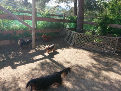 f:id:roukenhome-ann:20190524120111j:plain