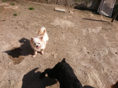 f:id:roukenhome-ann:20190524120326j:plain