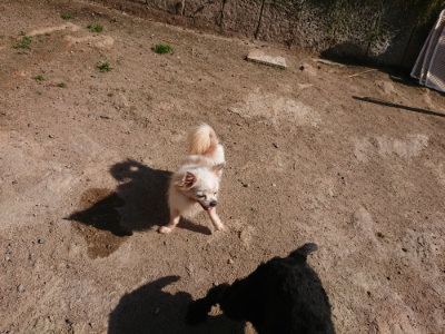 f:id:roukenhome-ann:20190524120331j:plain