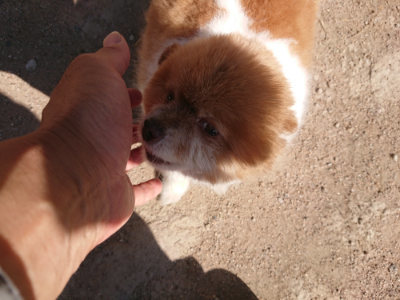 f:id:roukenhome-ann:20190524120353j:plain