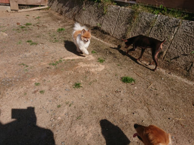 f:id:roukenhome-ann:20190524120435j:plain
