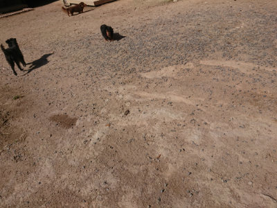 f:id:roukenhome-ann:20190524120442j:plain