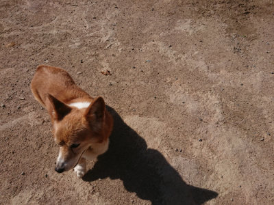 f:id:roukenhome-ann:20190524120448j:plain