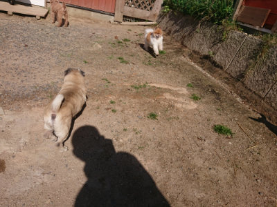 f:id:roukenhome-ann:20190524120517j:plain