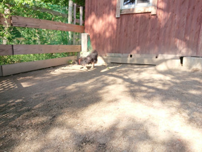 f:id:roukenhome-ann:20190524120627j:plain