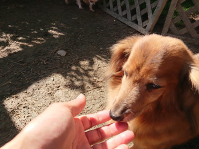 f:id:roukenhome-ann:20190524120646j:plain