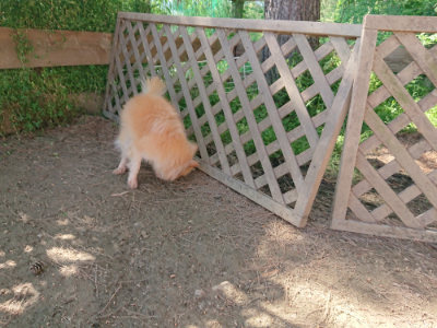 f:id:roukenhome-ann:20190524120652j:plain