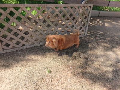 f:id:roukenhome-ann:20190524120710j:plain
