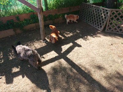 f:id:roukenhome-ann:20190524120736j:plain