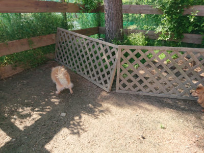 f:id:roukenhome-ann:20190524120742j:plain