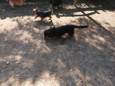 f:id:roukenhome-ann:20190524120757j:plain