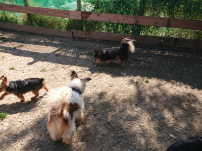f:id:roukenhome-ann:20190524120803j:plain