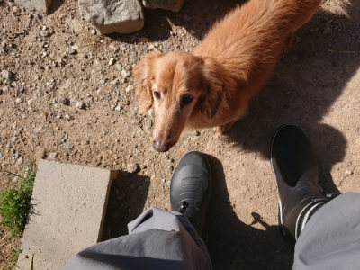 f:id:roukenhome-ann:20190524120809j:plain