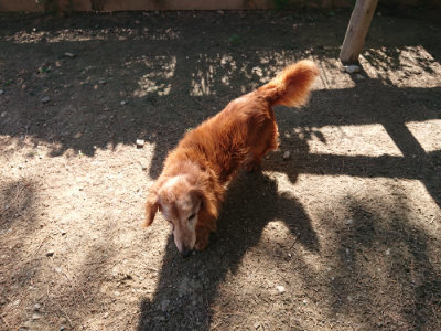 f:id:roukenhome-ann:20190524120839j:plain
