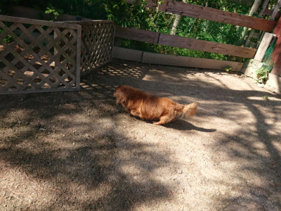 f:id:roukenhome-ann:20190524120844j:plain