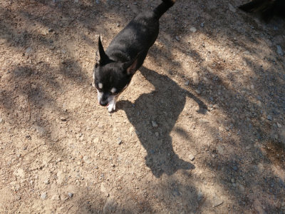 f:id:roukenhome-ann:20190524131627j:plain