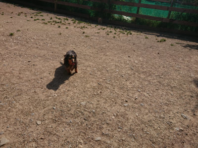 f:id:roukenhome-ann:20190524131654j:plain
