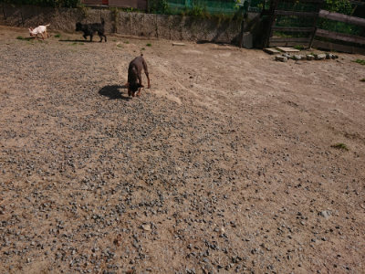 f:id:roukenhome-ann:20190524131700j:plain