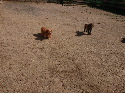 f:id:roukenhome-ann:20190524131718j:plain