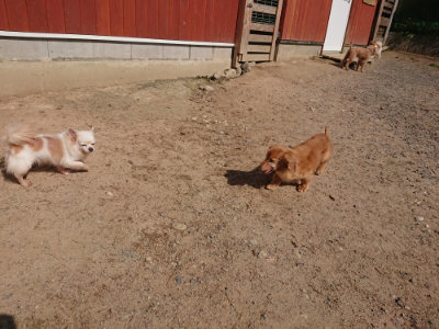 f:id:roukenhome-ann:20190524131722j:plain