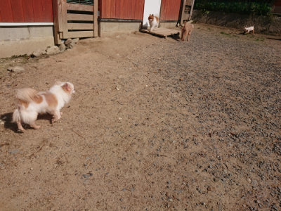 f:id:roukenhome-ann:20190524131727j:plain