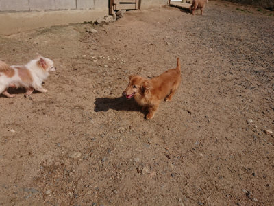 f:id:roukenhome-ann:20190524131831j:plain