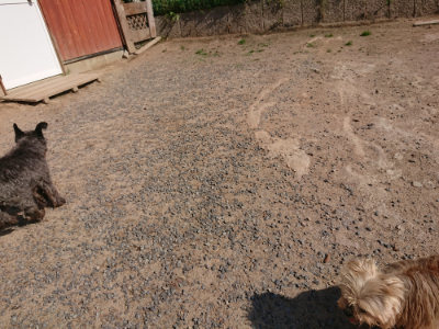 f:id:roukenhome-ann:20190524131956j:plain