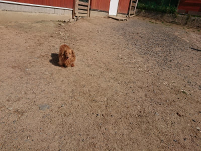 f:id:roukenhome-ann:20190524133950j:plain