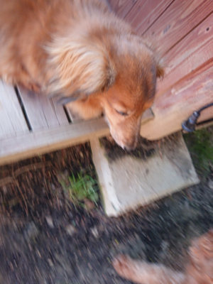 f:id:roukenhome-ann:20190524134107j:plain