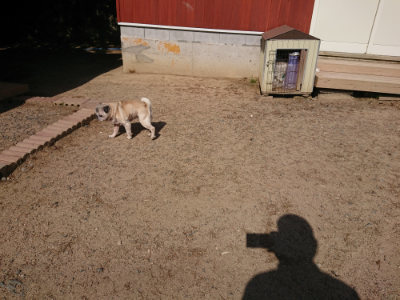 f:id:roukenhome-ann:20190524134126j:plain