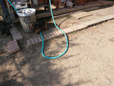 f:id:roukenhome-ann:20190524134141j:plain