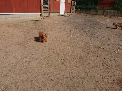 f:id:roukenhome-ann:20190524134146j:plain