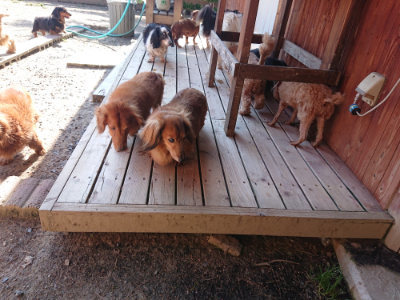 f:id:roukenhome-ann:20190524134706j:plain