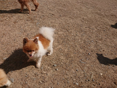 f:id:roukenhome-ann:20190524134733j:plain