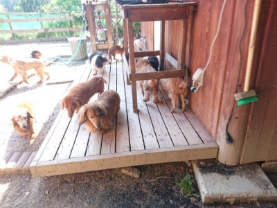 f:id:roukenhome-ann:20190524134745j:plain