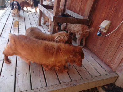f:id:roukenhome-ann:20190524134800j:plain