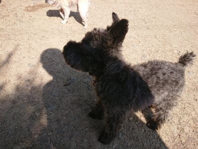 f:id:roukenhome-ann:20190524134846j:plain